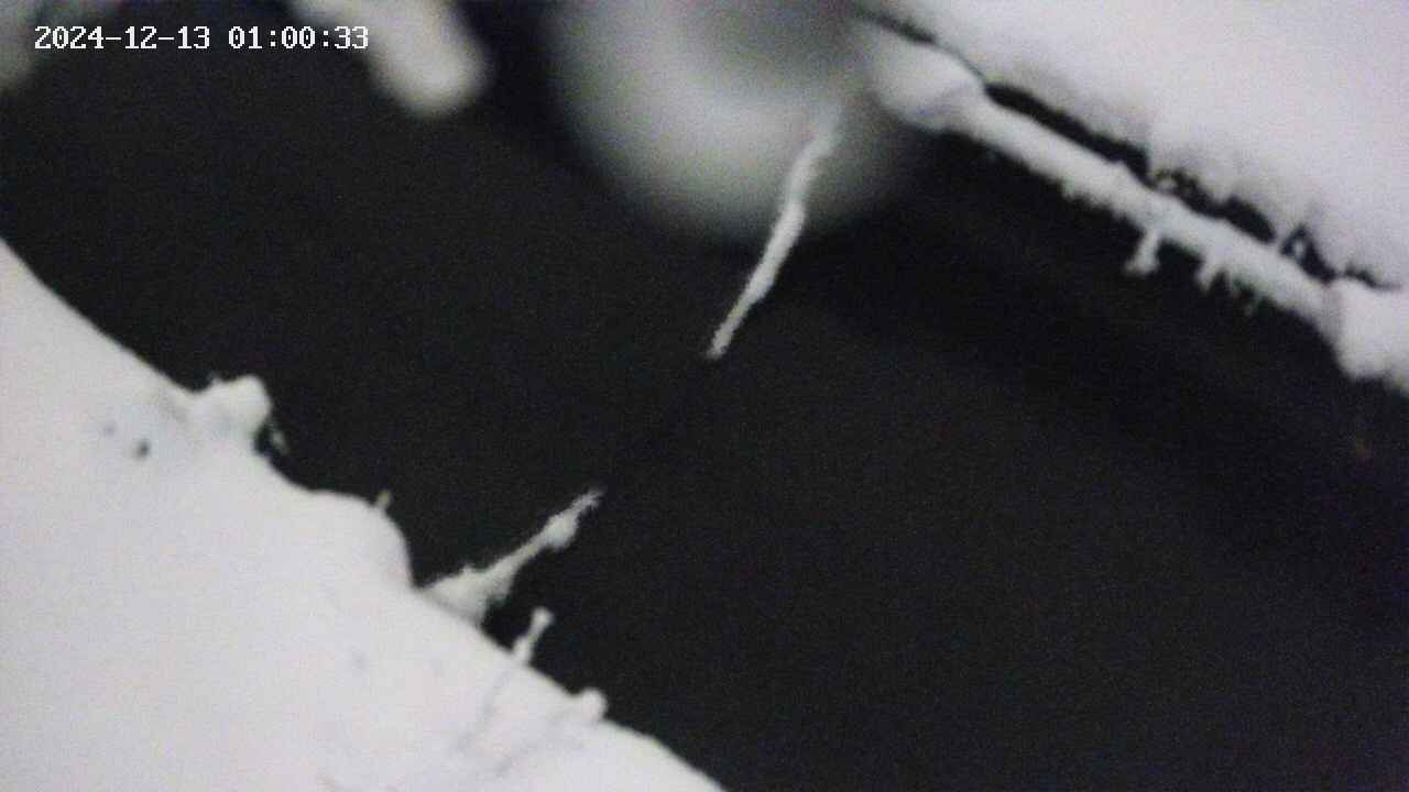 area10-20241213010033.jpg