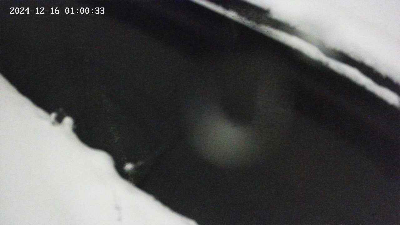 area10-20241216010034.jpg