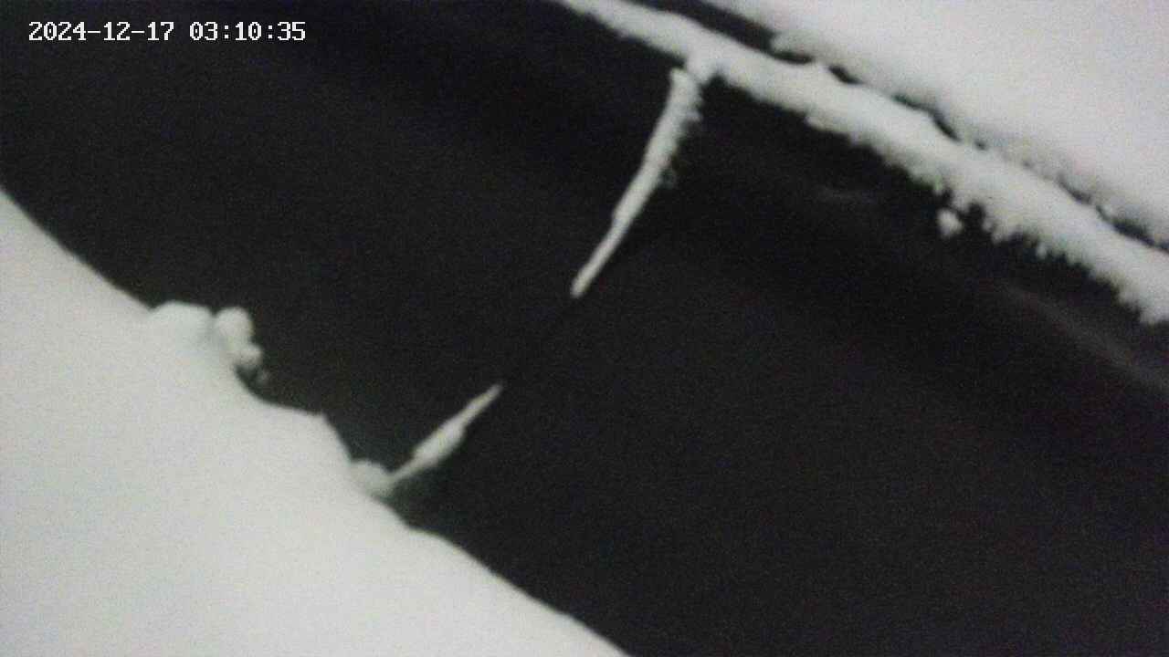 area10-20241217031035.jpg