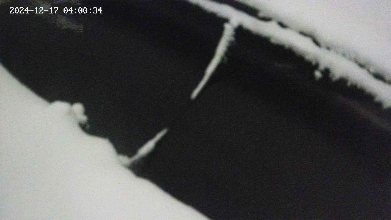 area10-20241217040035.jpg