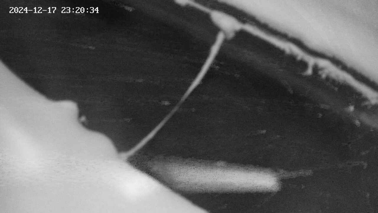 area10-20241217232035.jpg