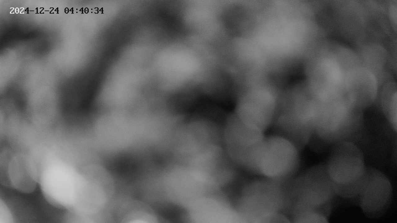 area10-20241224044035.jpg