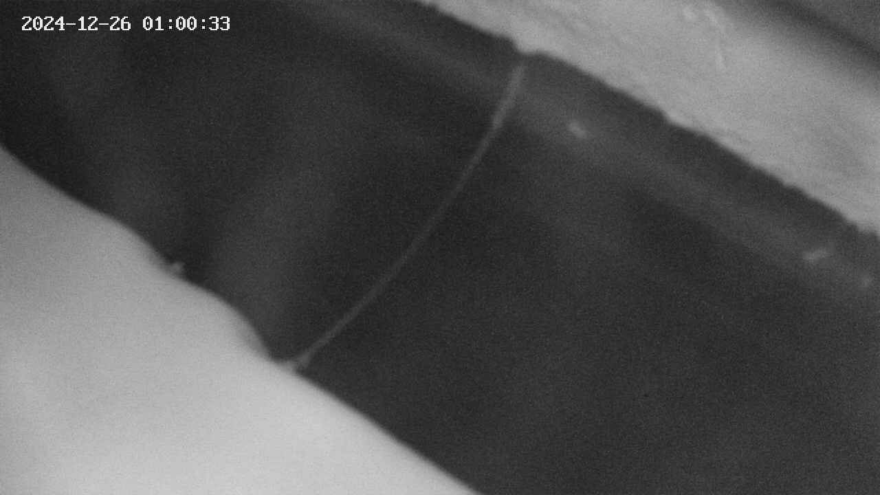 area10-20241226010034.jpg