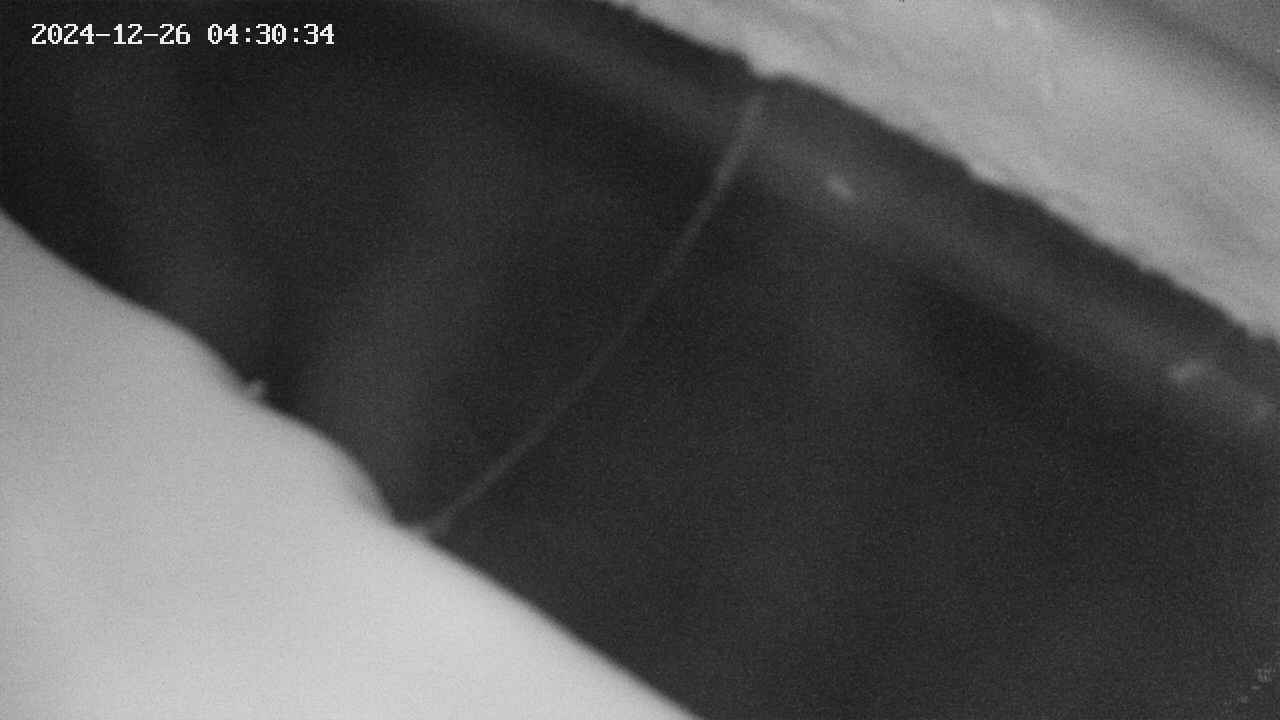 area10-20241226043035.jpg