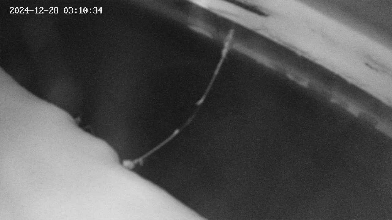 area10-20241228031035.jpg