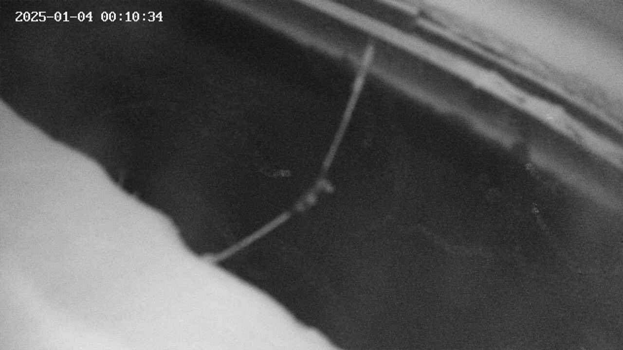 area10-20250104001035.jpg