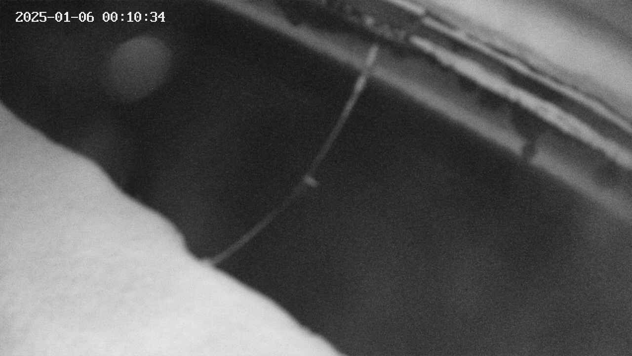 area10-20250106001035.jpg