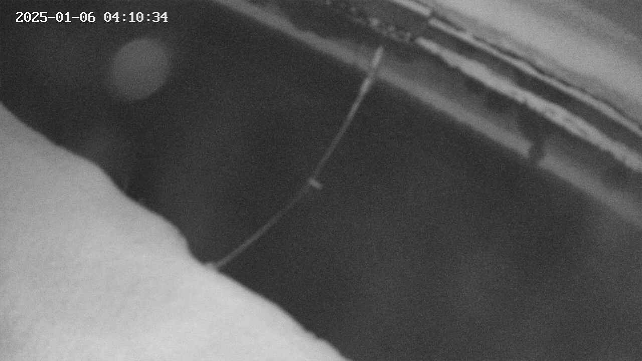 area10-20250106041035.jpg
