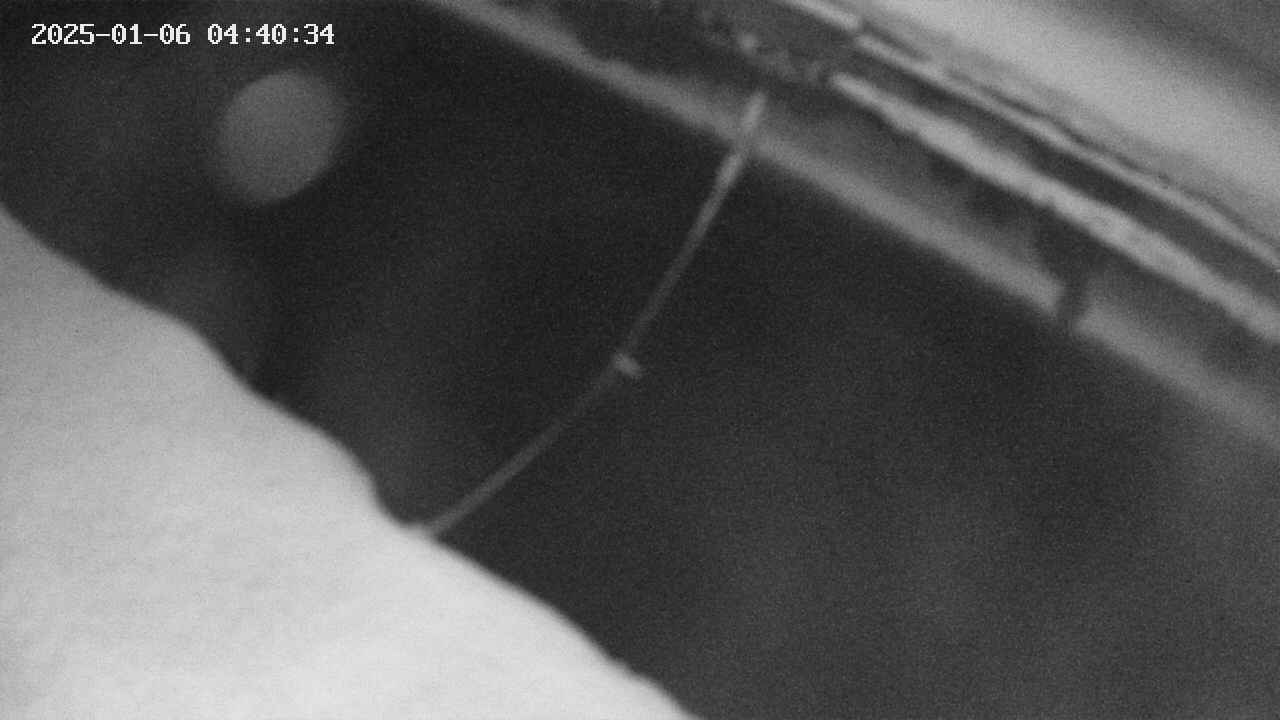area10-20250106044035.jpg