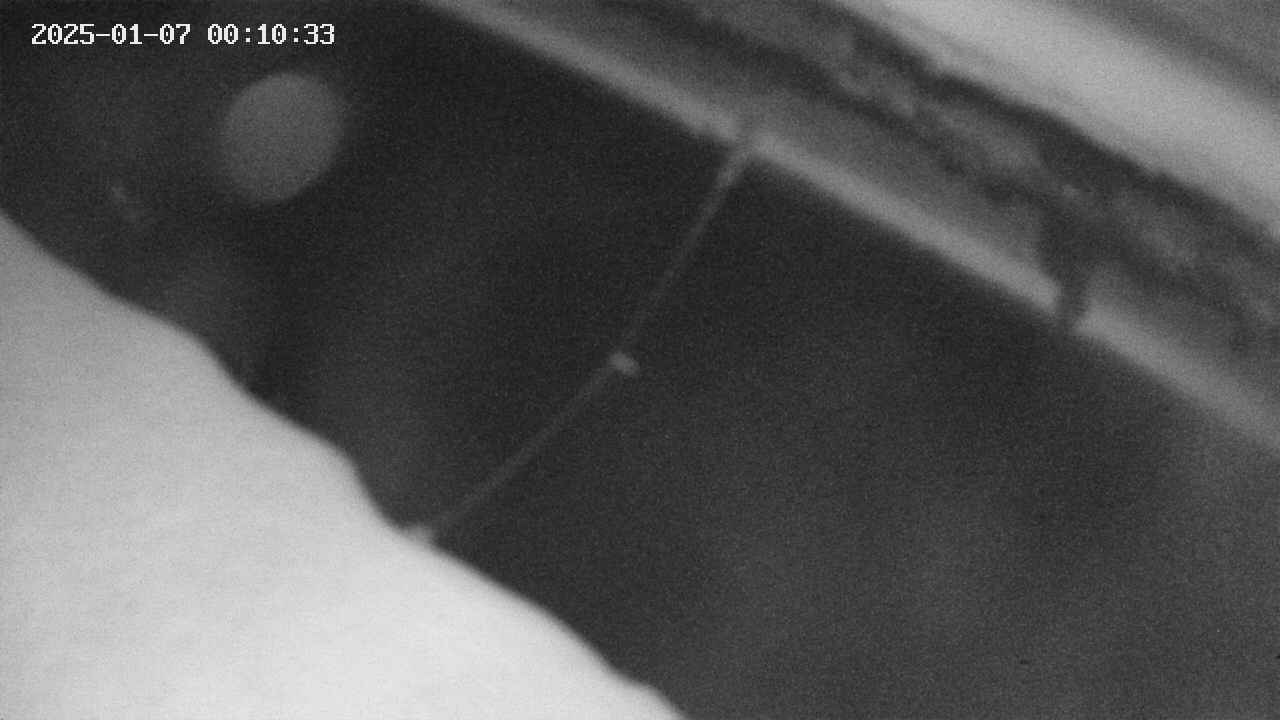 area10-20250107001034.jpg
