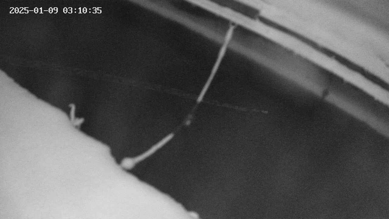 area10-20250109031035.jpg