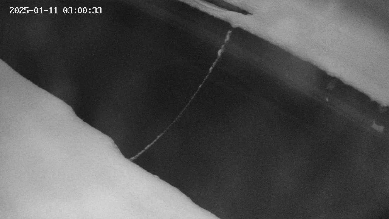 area10-20250111030034.jpg