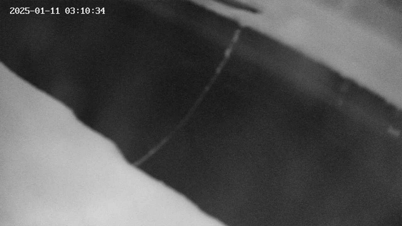 area10-20250111031034.jpg