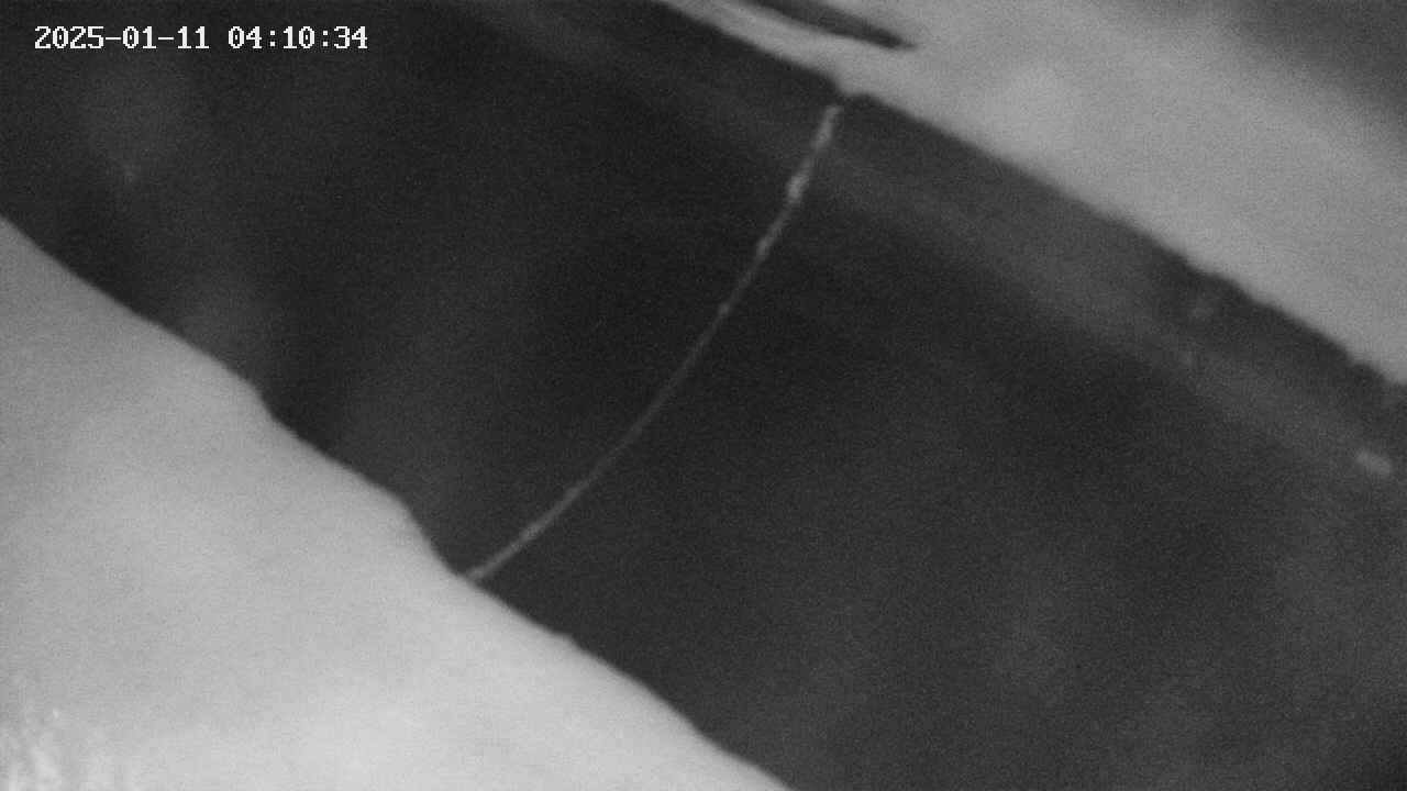 area10-20250111041035.jpg