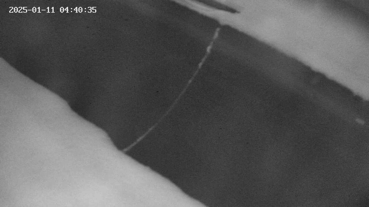 area10-20250111044036.jpg