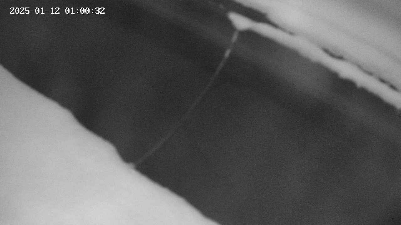 area10-20250112010033.jpg