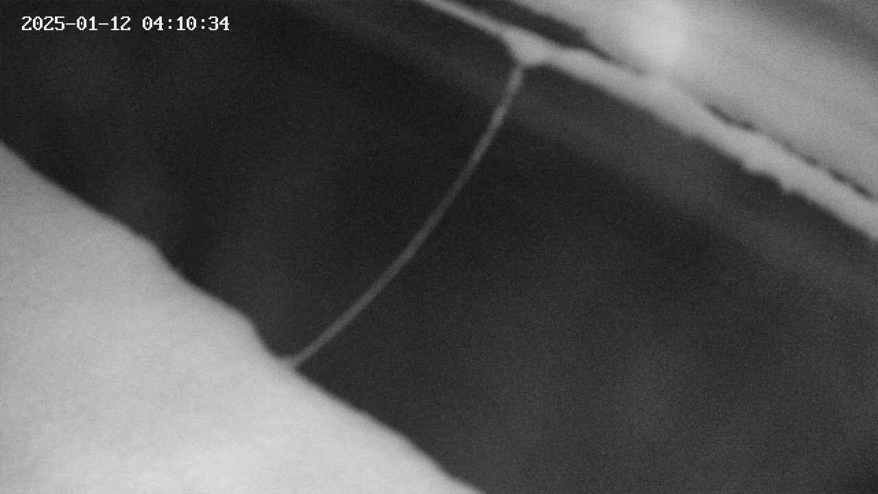 area10-20250112041034.jpg