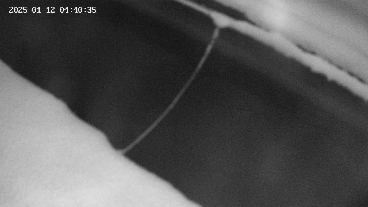 area10-20250112044035.jpg