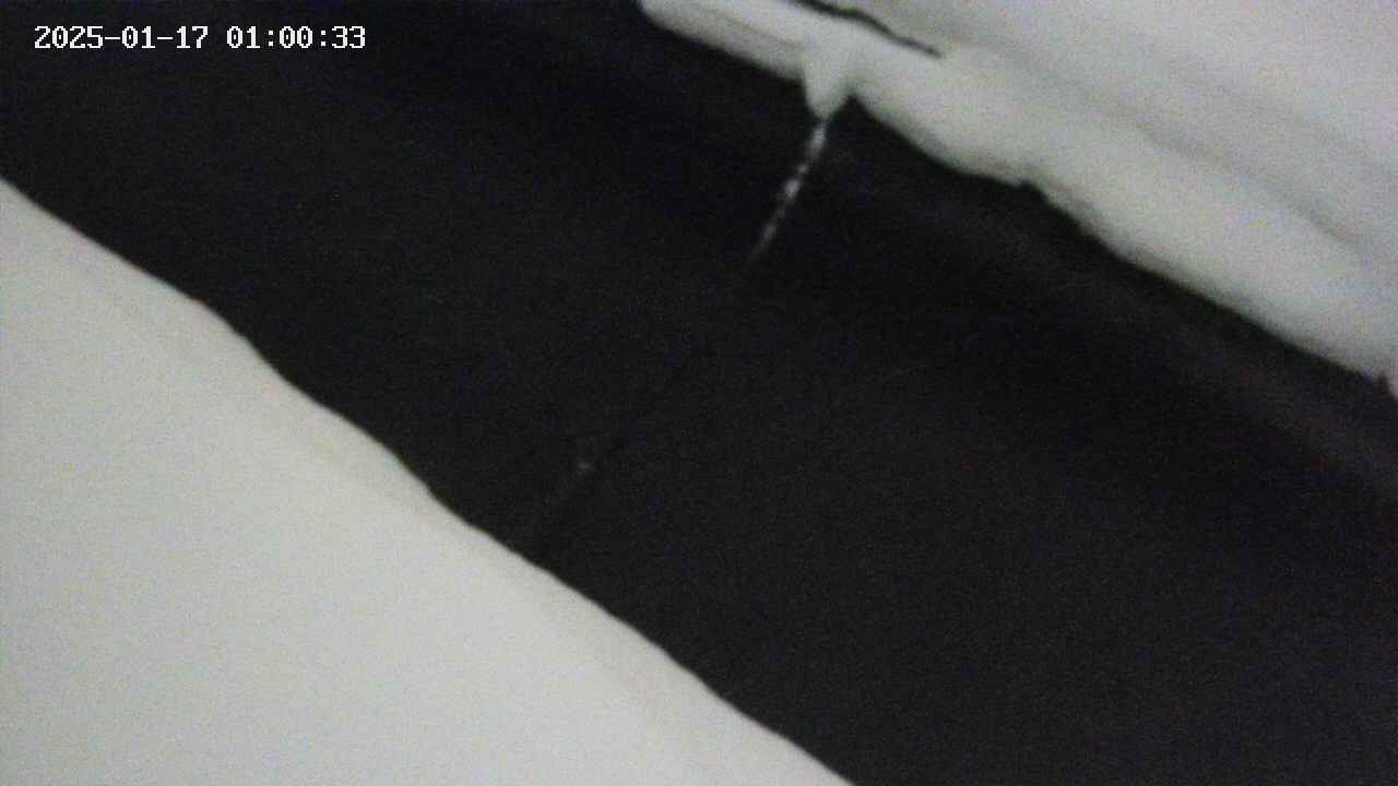 area10-20250117010034.jpg