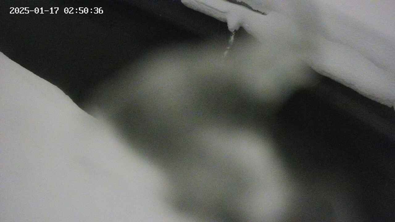 area10-20250117025036.jpg