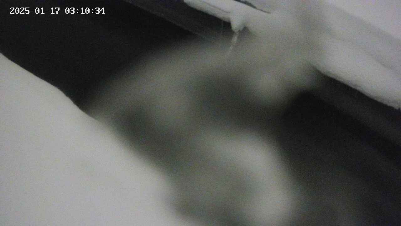 area10-20250117031035.jpg
