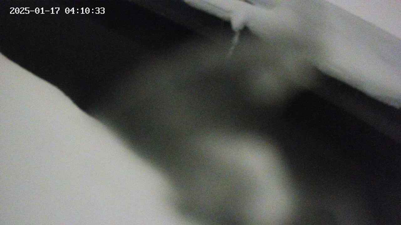area10-20250117041034.jpg