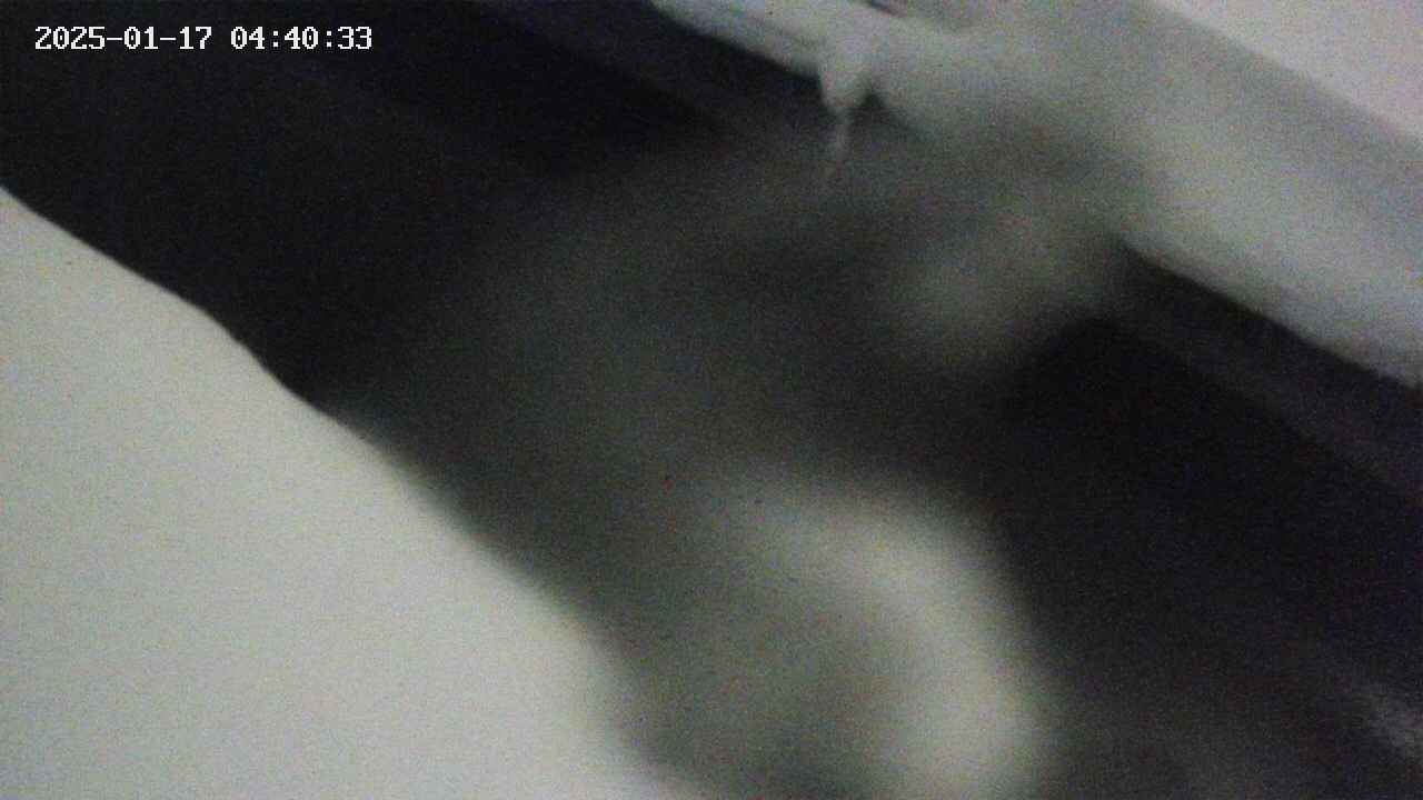 area10-20250117044034.jpg
