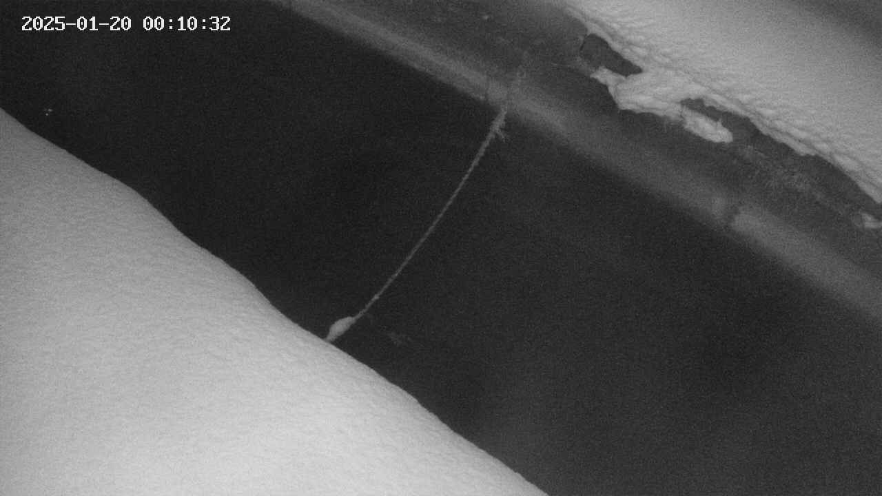 area10-20250120001033.jpg