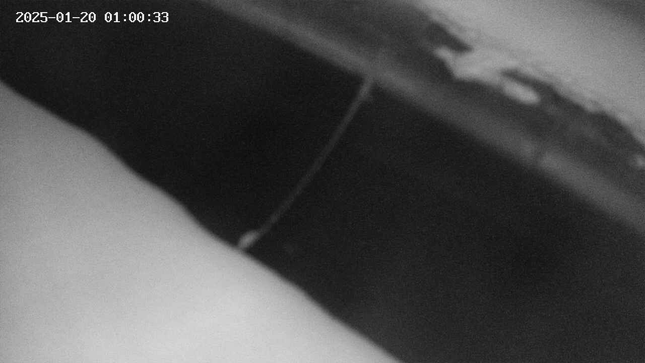 area10-20250120010034.jpg