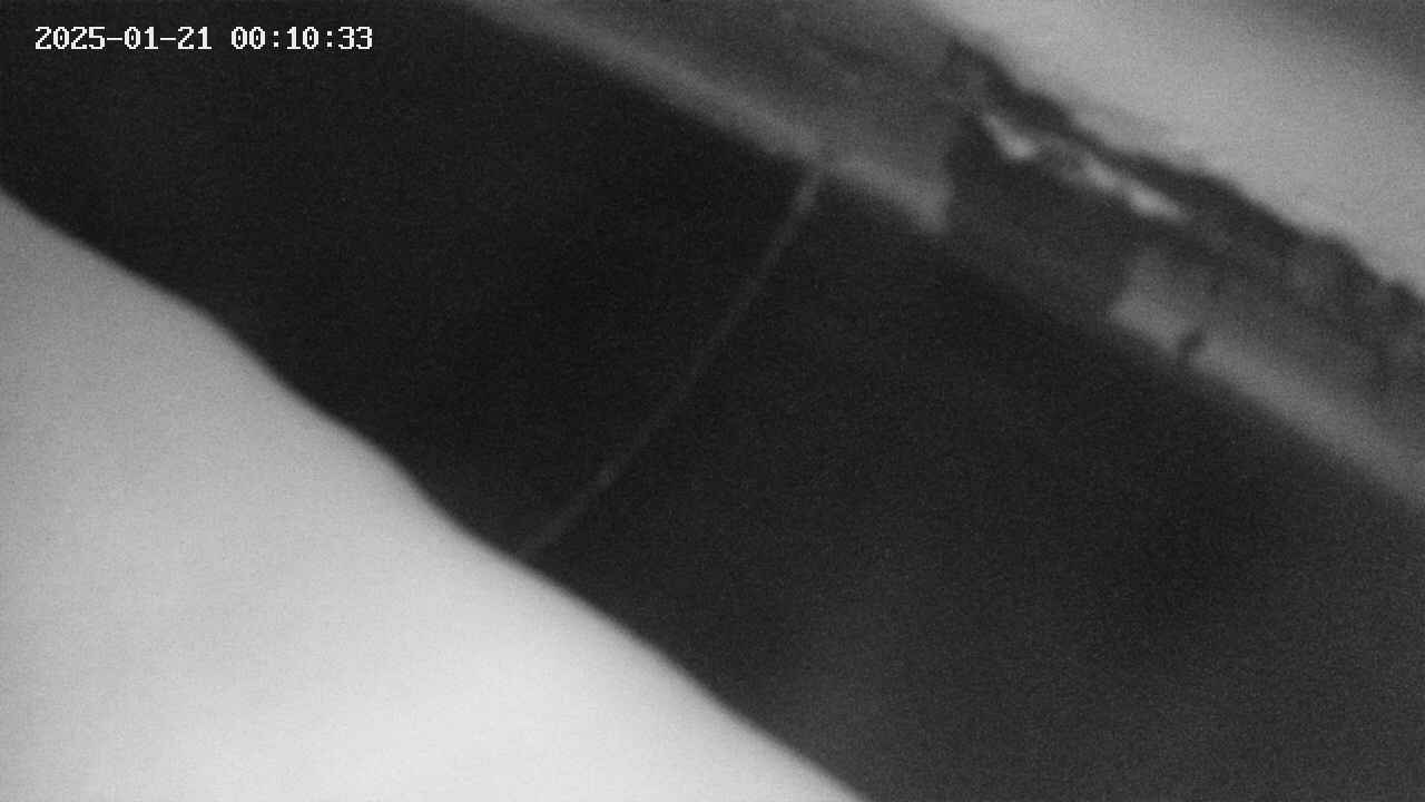 area10-20250121001034.jpg