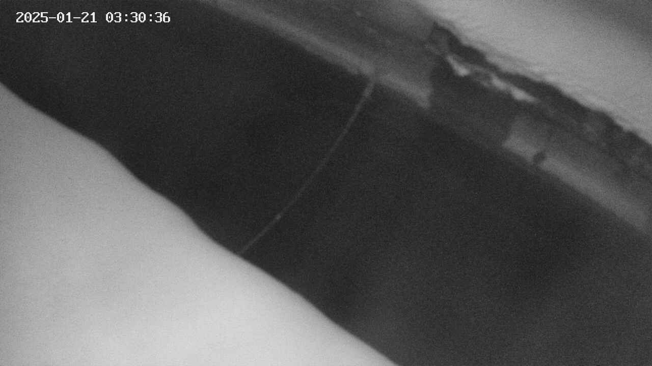area10-20250121033036.jpg