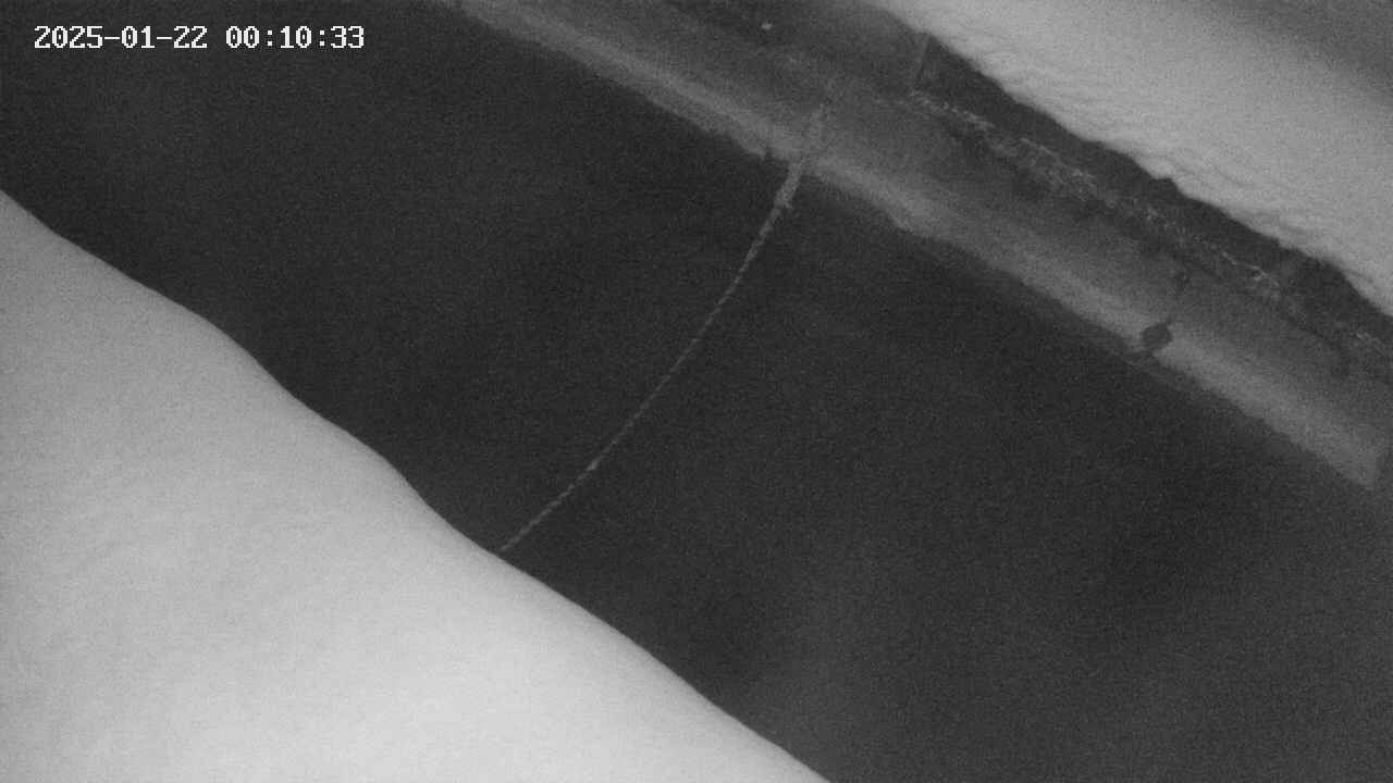 area10-20250122001035.jpg