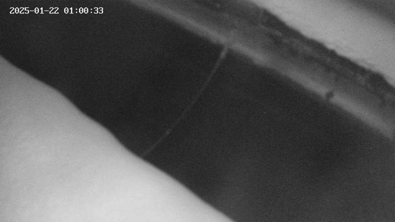 area10-20250122010034.jpg