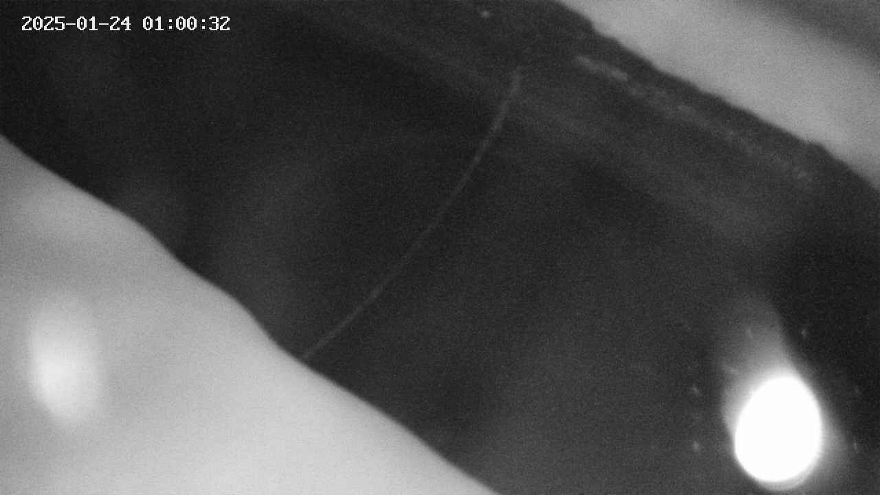 area10-20250124010034.jpg