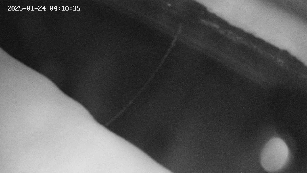 area10-20250124041035.jpg