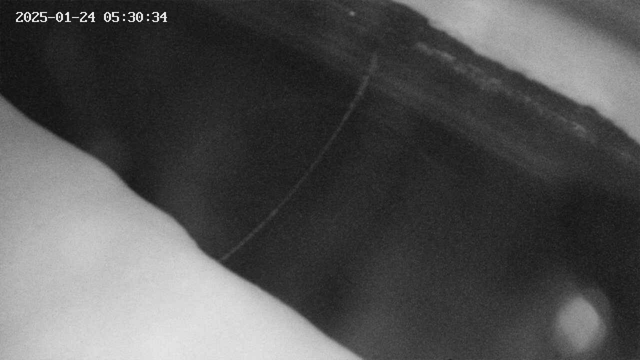 area10-20250124053034.jpg