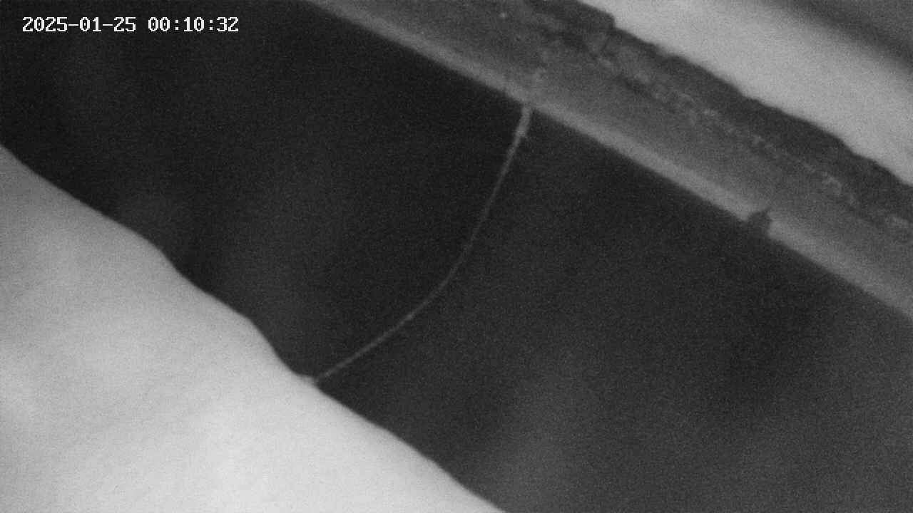 area10-20250125001033.jpg