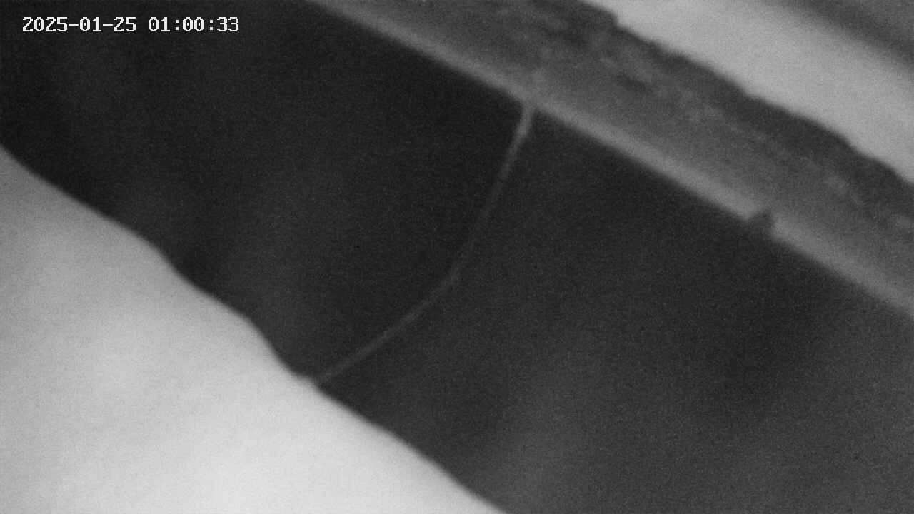 area10-20250125010034.jpg
