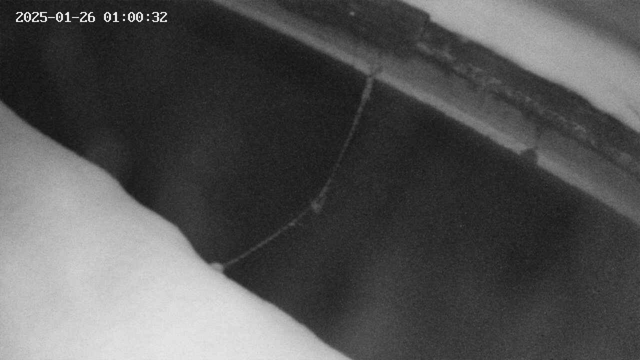 area10-20250126010033.jpg