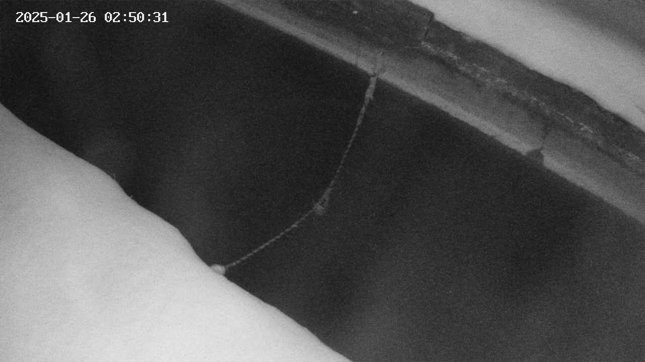 area10-20250126025033.jpg