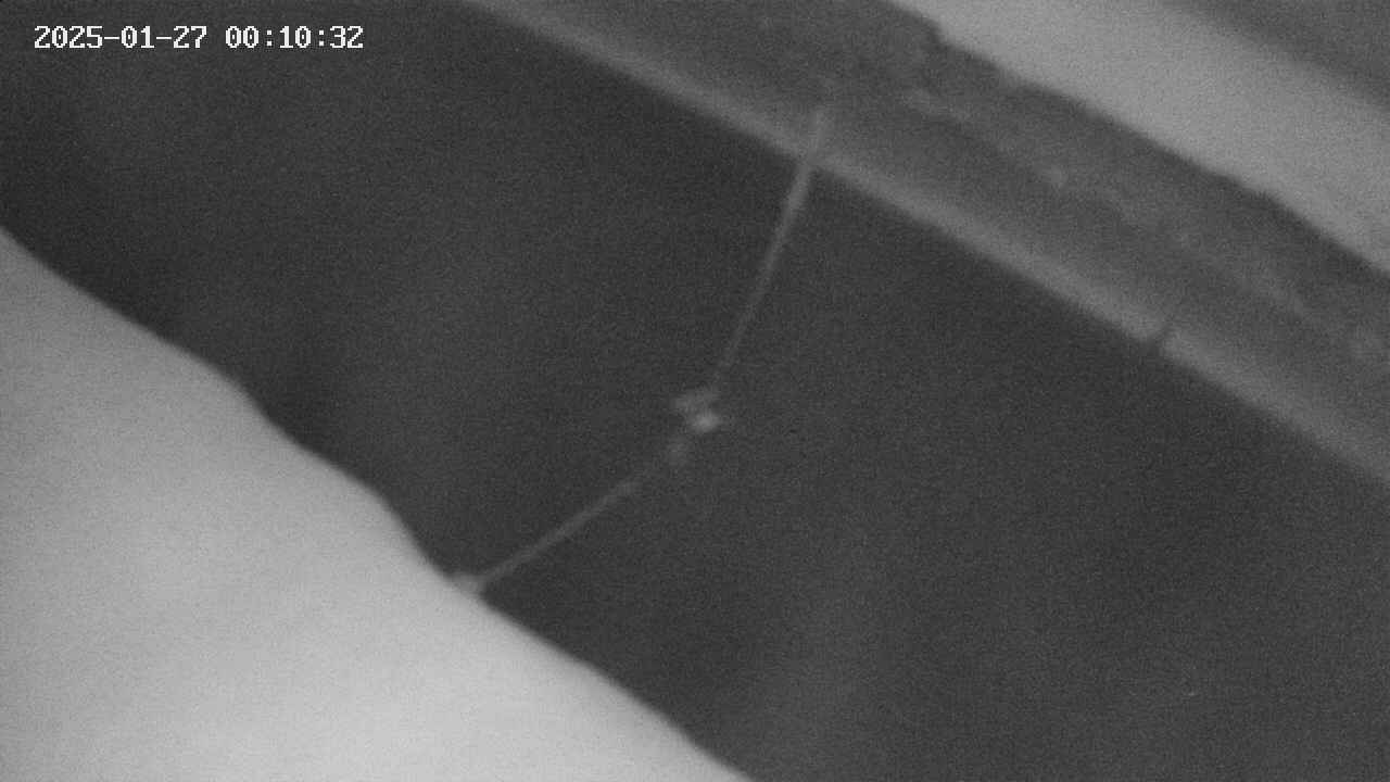 area10-20250127001033.jpg