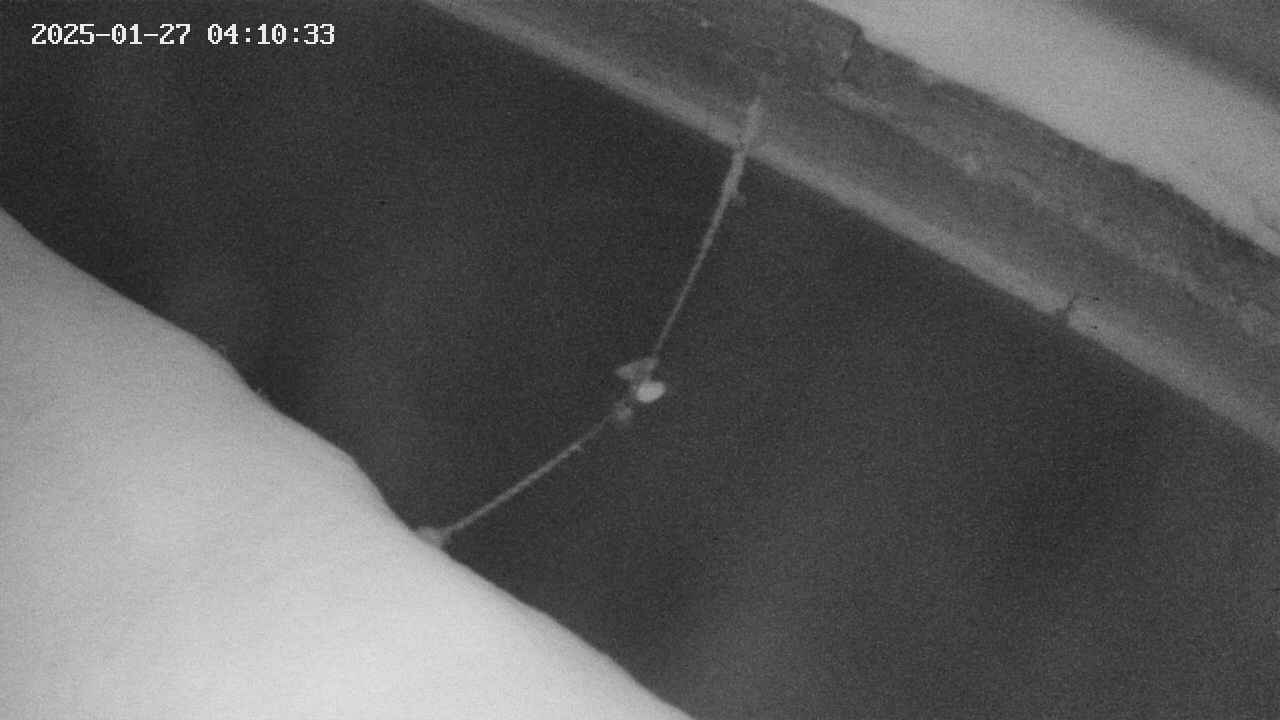 area10-20250127041034.jpg