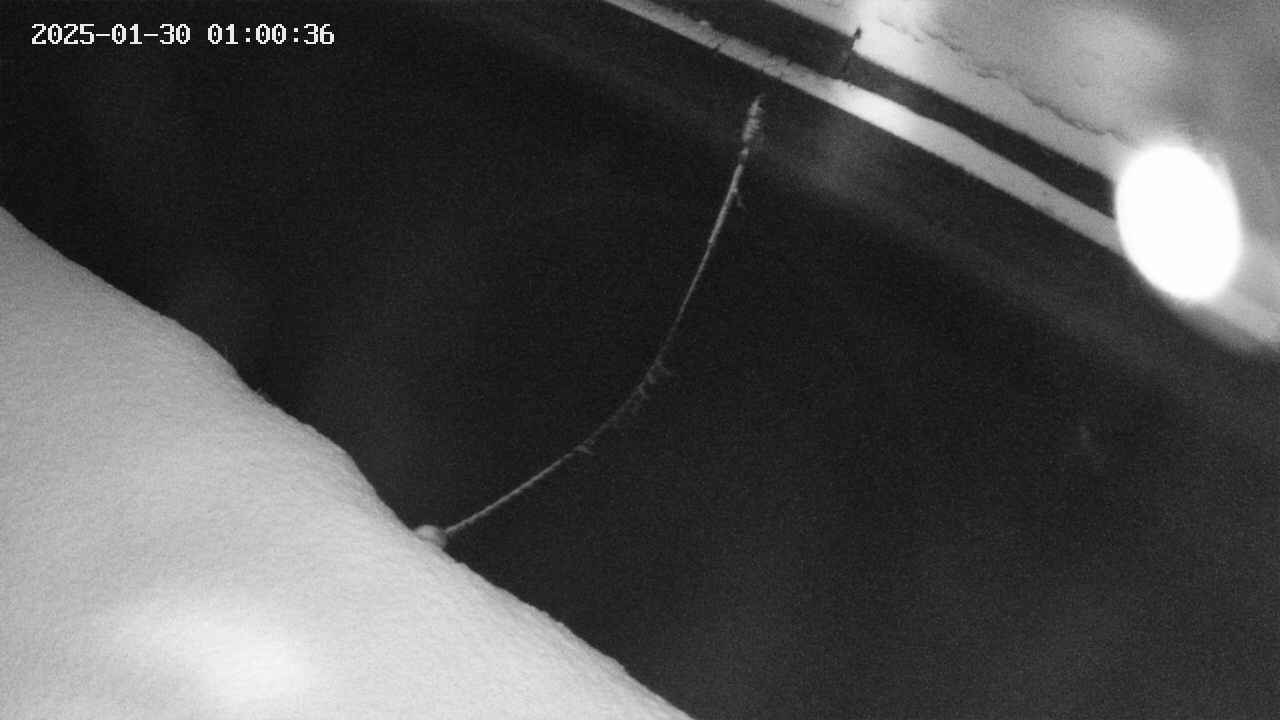 area10-20250130010037.jpg