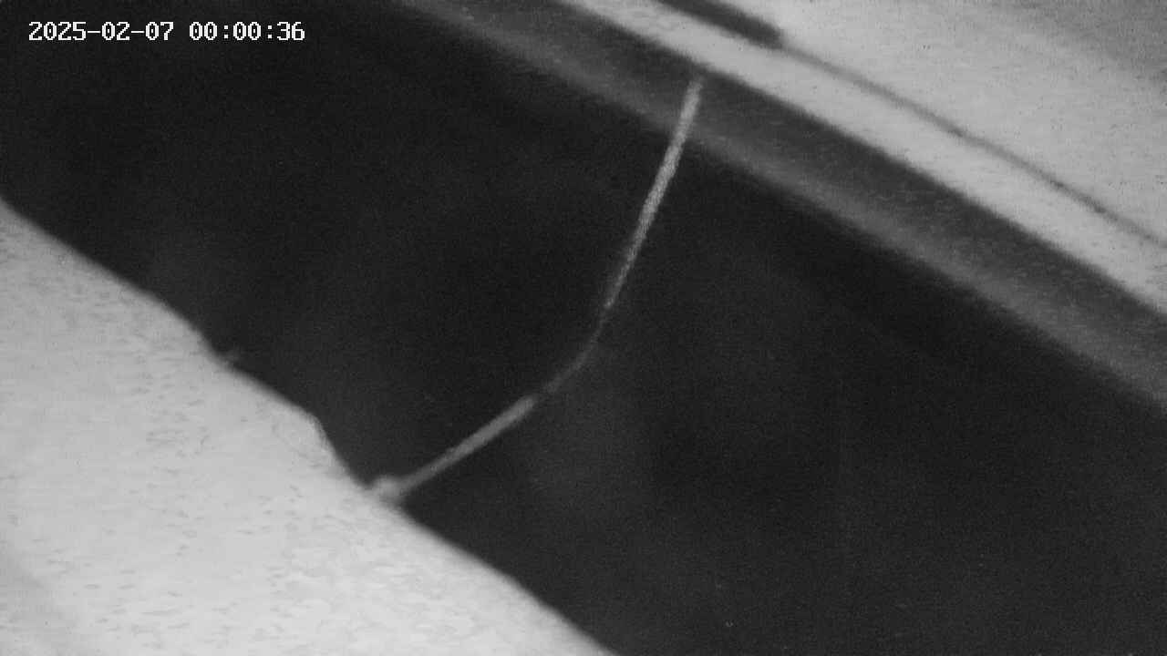 area10-20250207000037.jpg