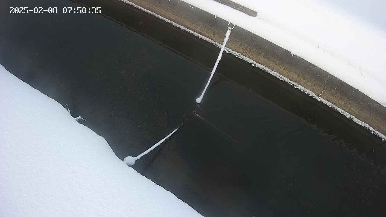 area10-20250208075036.jpg