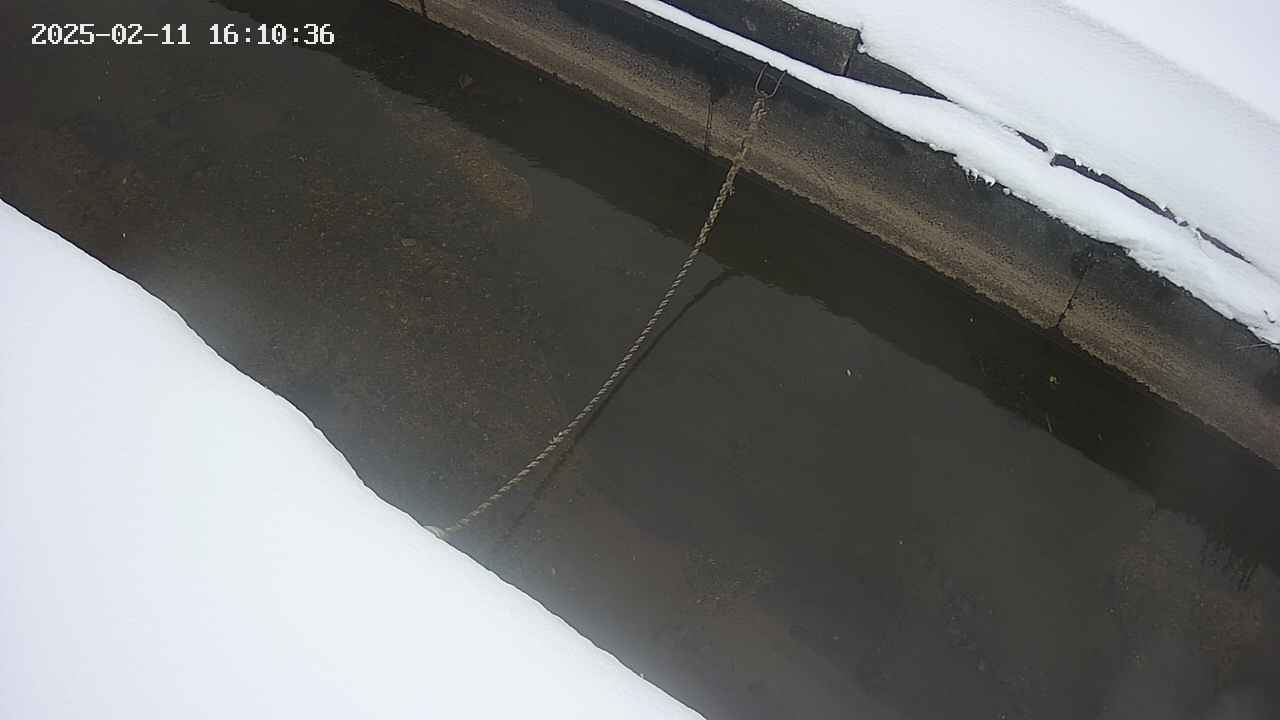 area10-20250211161037.jpg