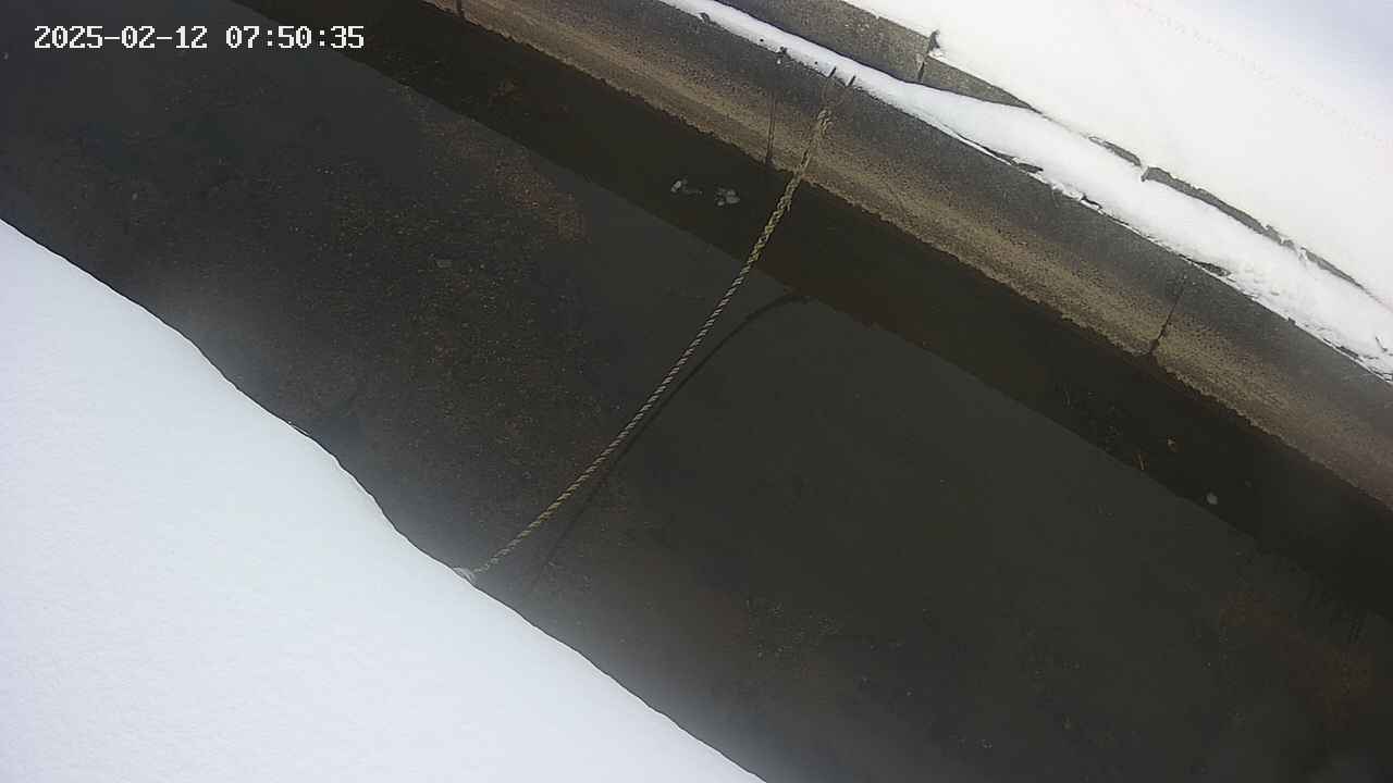area10-20250212075035.jpg