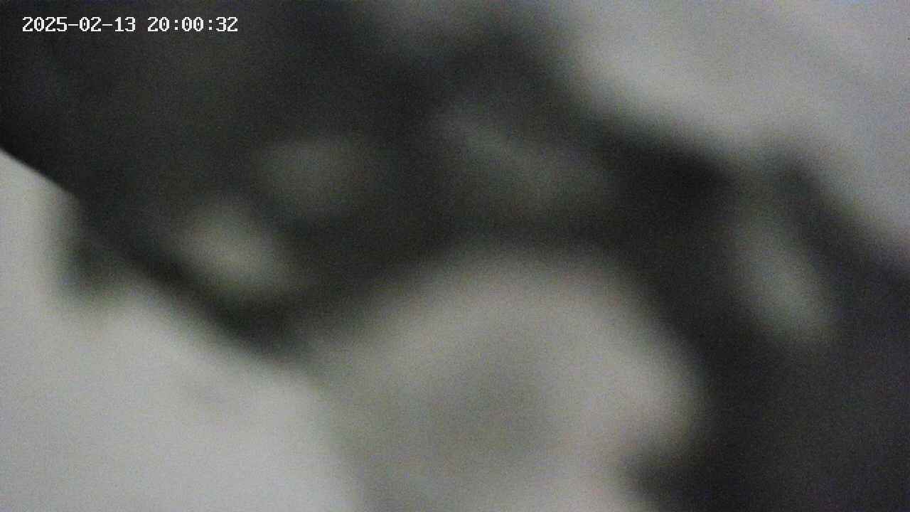 area10-20250213200034.jpg