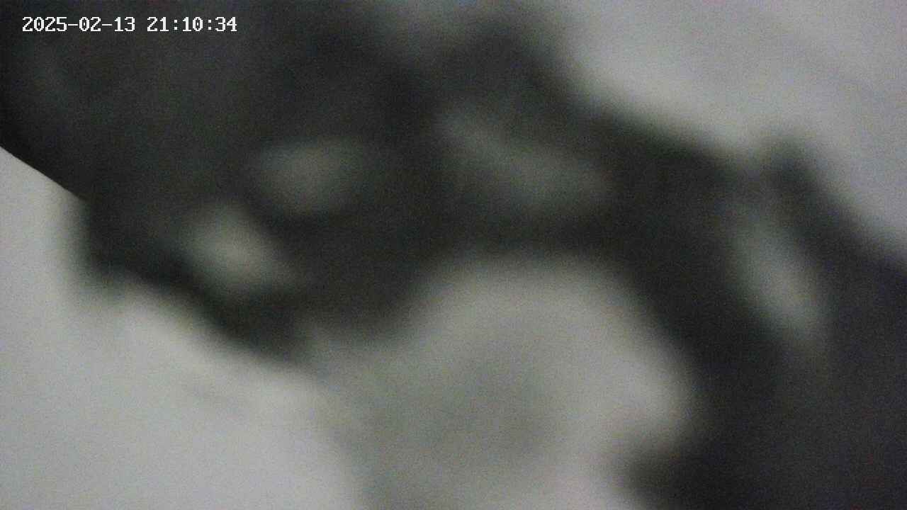 area10-20250213211035.jpg