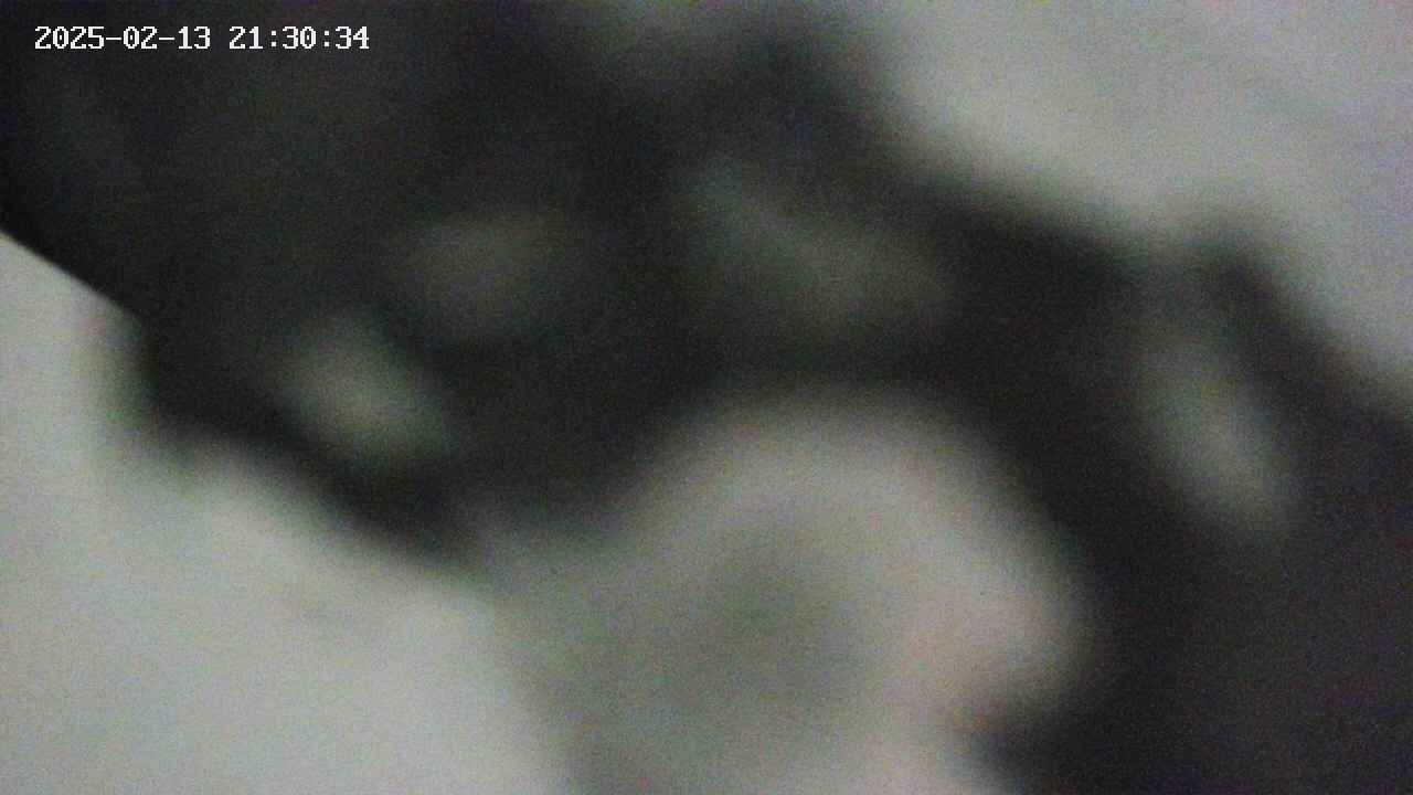 area10-20250213213036.jpg